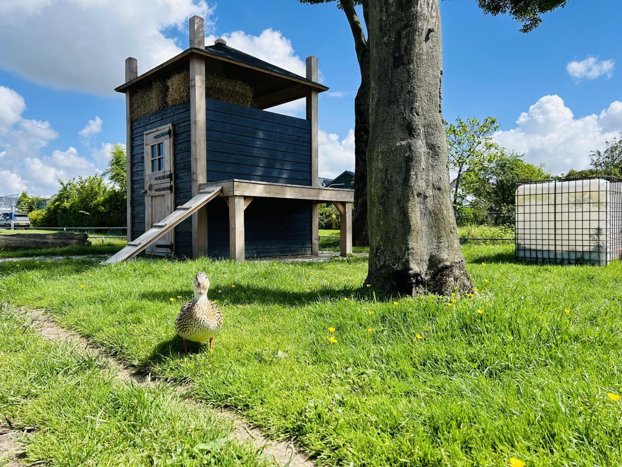 Bungalowpark De Horn - Floresta 215 Dirkshorn エクステリア 写真